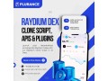 launch-your-own-raydium-style-dex-with-plurances-raydium-clone-script-small-0