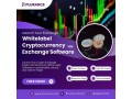 turnkey-white-label-crypto-exchange-solution-where-your-dream-meets-reality-small-0